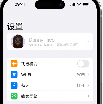 安定appleID维修服务iPhone设置中Apple ID显示为灰色无法使用