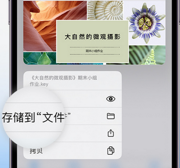 安定apple维修中心分享iPhone文件应用中存储和找到下载文件