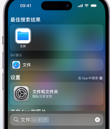 安定apple维修中心分享iPhone文件应用中存储和找到下载文件 