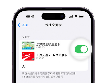 安定apple维修点分享iPhone上更换Apple Pay快捷交通卡手绘卡面 