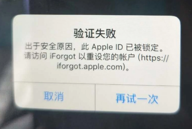 安定iPhone维修分享iPhone上正常登录或使用AppleID怎么办 