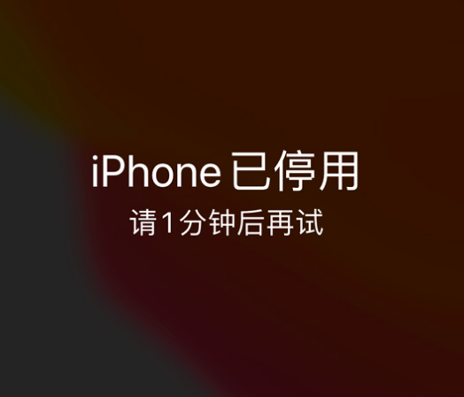 安定苹果手机维修分享:iPhone 显示“不可用”或“已停用”怎么办？还能保留数据吗？ 