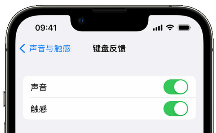 安定苹果手机维修分享iPhone 14触感键盘使用方法 