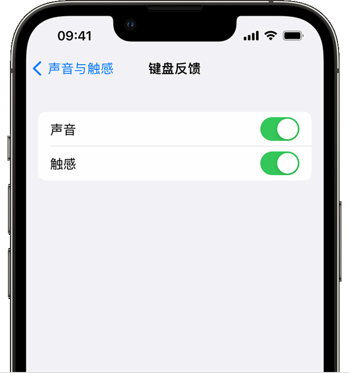 安定苹果14维修店分享如何在 iPhone 14 机型中使用触感键盘 