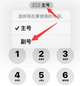 安定苹果14维修店分享iPhone 14 Pro Max使用副卡打电话的方法 