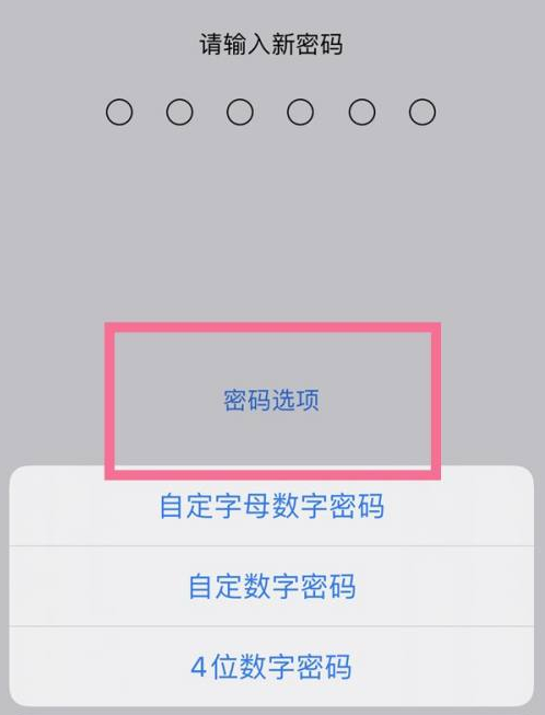 安定苹果14维修分享iPhone 14plus设置密码的方法 