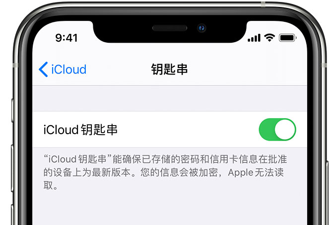 安定苹果手机维修分享在 iPhone 上开启 iCloud 钥匙串之后会储存哪些信息 