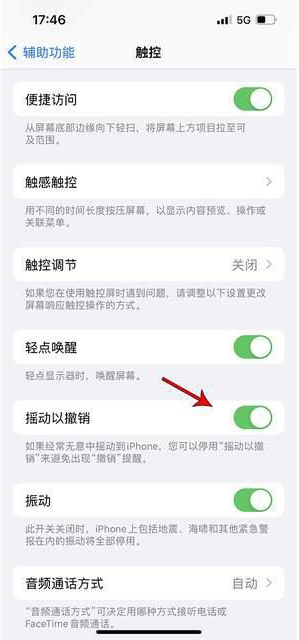 安定苹果手机维修分享iPhone手机如何设置摇一摇删除文字 