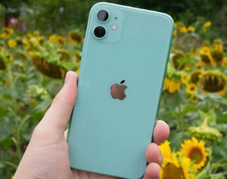 安定苹果维修点分享iPhone 11锁屏密码认知与使用科普 